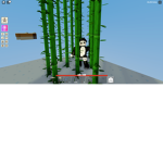 Bamboo Pandas group