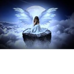 Hang out I guess :)