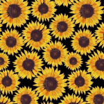 ''|Aesthetic Sunflowers|''