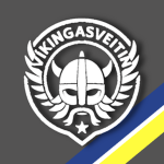 Víkingasveitin [IS]
