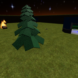 Capture the flag