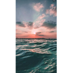 Aesthetic_Boba123 BLM