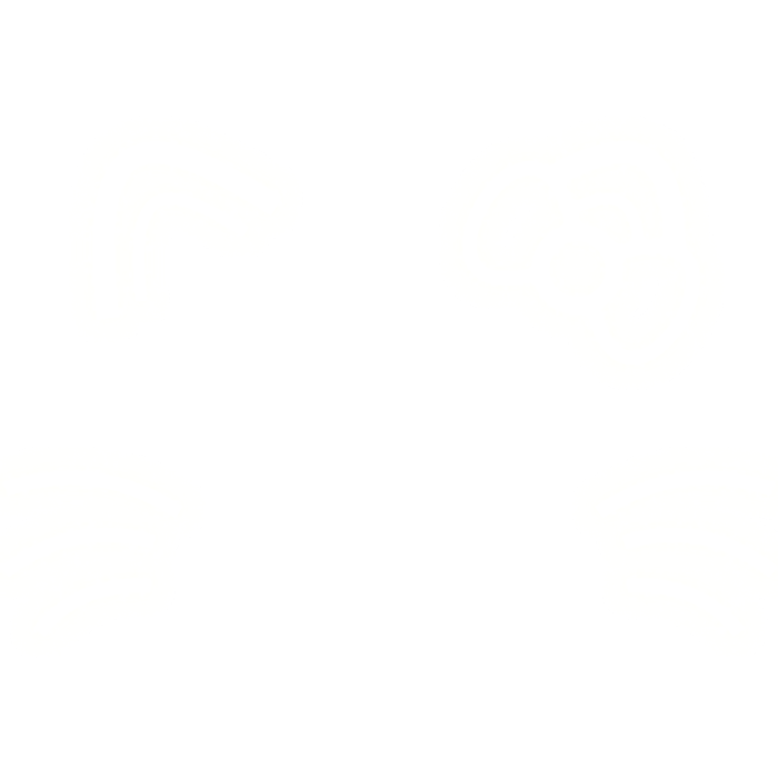 ♡ [ GLOWING ] hk cat white face filter emissive 