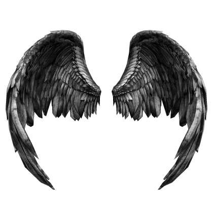 Dirty Angel Wings