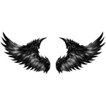 White Archangel Wings
