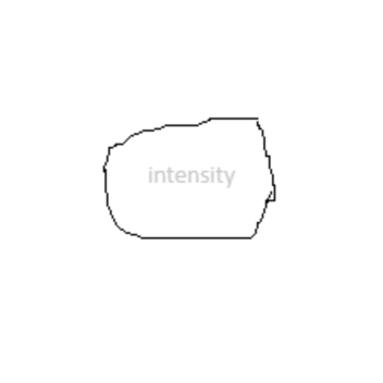 Intensity