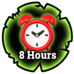 8 Hours