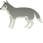 wolf nice group