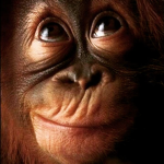 Me andmymonkeys