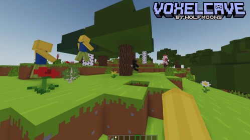 VoxelCave