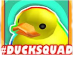 TEH #DUCKSQUAD SUPPORTERS