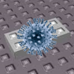 THE VIRUS™