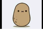 Potato :)))