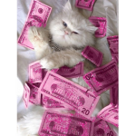 $LUMPEDIA