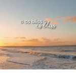 - cs bliss -