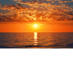 Time to Shine Sunshine