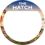 The Hatch