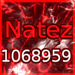 NATE'S