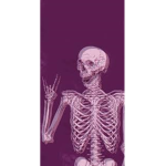 $ C 4 R L 3 T T