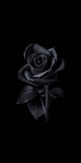 {The Black Rose Company}