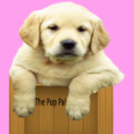 The Pup Pals!