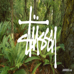 Stussy Stores™