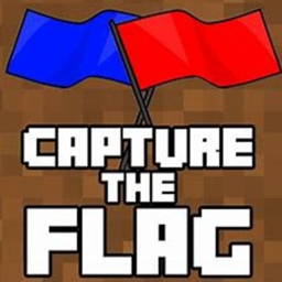 Capture the Flag🚩(UPDATE 0.1)