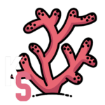 Koral Studio