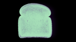 Green Toast Studios