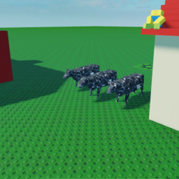 Cow racing