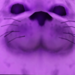 Crazy Purple Seal