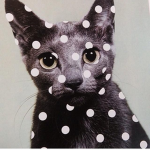 dotted polka