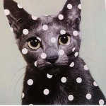 dotted polka Group Thumbnail
