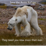 Arctic Refuge Awareness