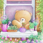 Beary friends squad