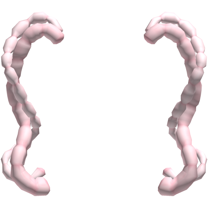 ʚ kawaii creepy cute guts intestine pigtails pink