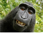 Monkey banana suit