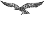 a normal plane crazy military group (anpcmp)