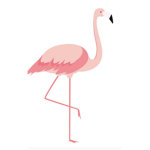 FLAMINGOOO ALBERT YES