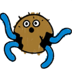 Cococult