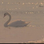 𝐰𝐡𝐞𝐧 𝐭𝐡𝐞