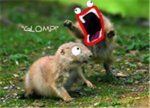 Random Group of Randomness