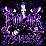 きPolar NA
