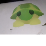 Boyrobloxplayss' Turtle squad