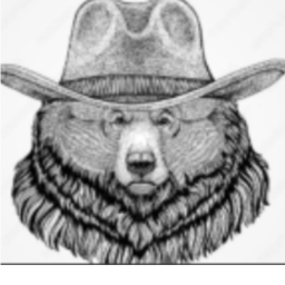 Bear Mountain County
