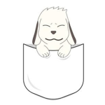 Team Doggy:3