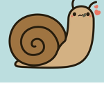 The snail group by sophia