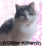 (Glitter~Kitten)