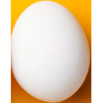 DucksArmy123456and eggs