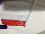 Singaporean group